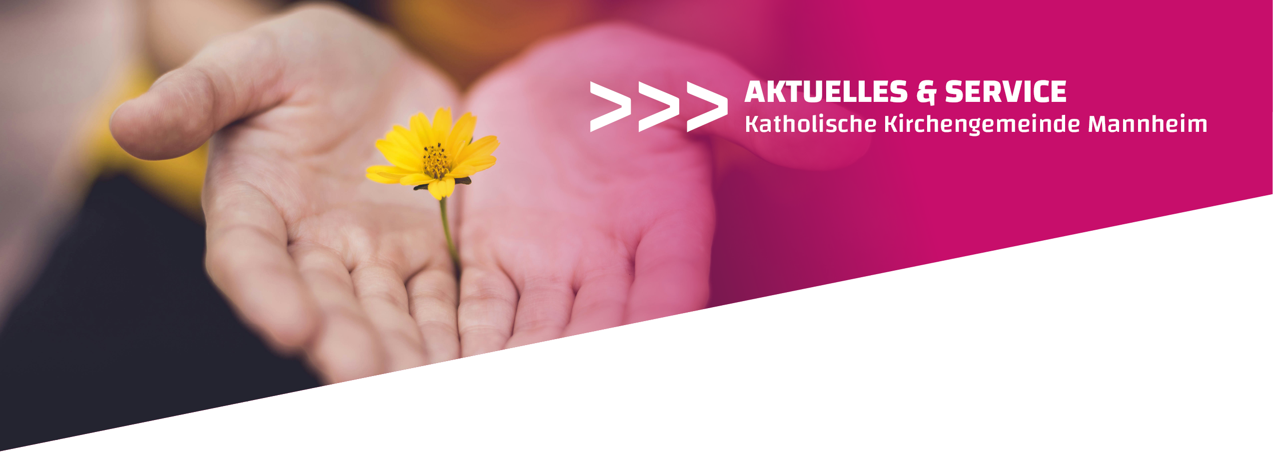 Quelle: Lina Trochez/unsplash.com